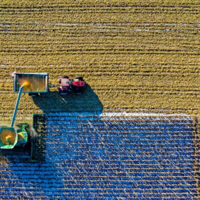 top-view-of-green-field-1595104